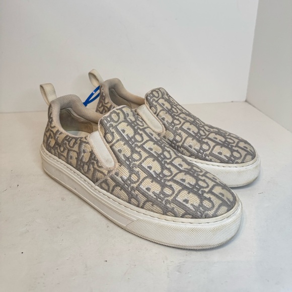 Christian Dior Solar Oblique Grey White Slip On Sneakers Shoes